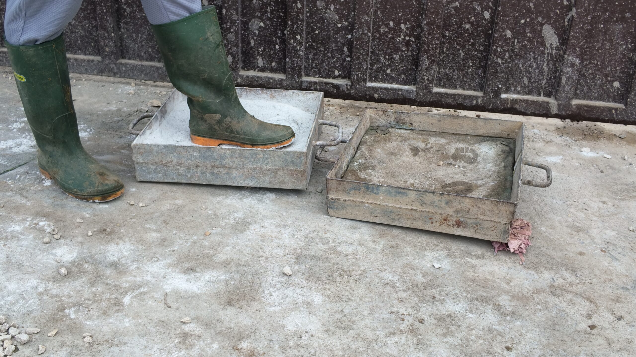 A worker stepping into a disinfectant foot-dip tray at the entrance to the cattle shed at Gulshan Farms