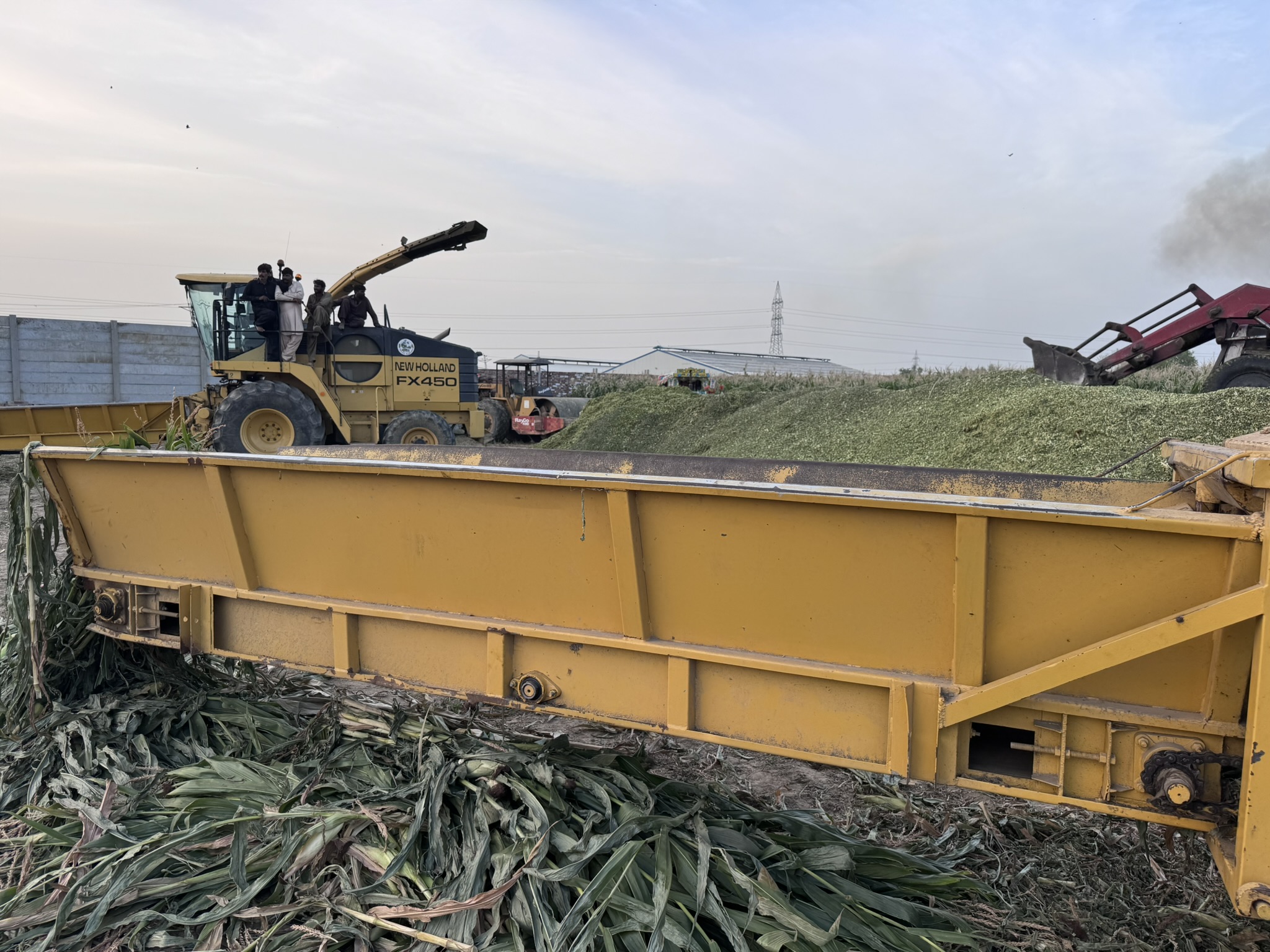 A chopping machine cutting the Corn Crop in to Green pits ready for packing in to silage at Gulshan Farms in May 2026
